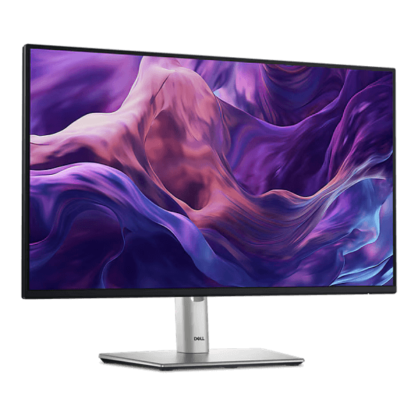 Dell  P2425H 24" (1920x1080) 100Hz IPS 99% sRGB USB-C