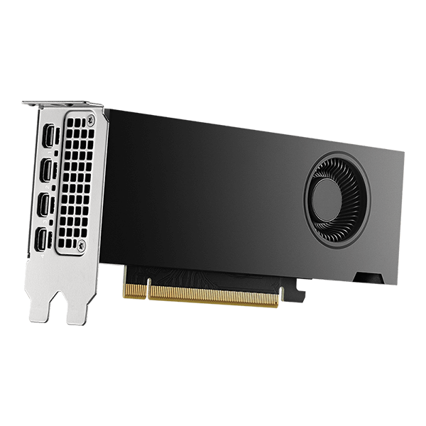 NVIDIA RTX 2000 Ada Generation 16GB-image